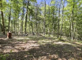 529 Strawberry Ln, Augusta, WV 26704