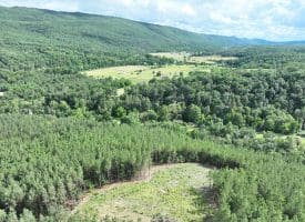 20.17 AC North Texas Road, Delray, WV 26714