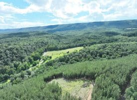 20.17 AC North Texas Road, Delray, WV 26714