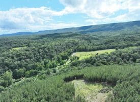 20.17 AC North Texas Road, Delray, WV 26714