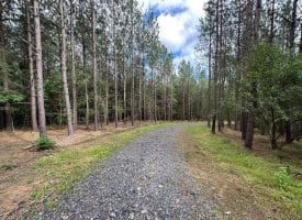 22.29 AC North Texas Road, Delray, WV 26714