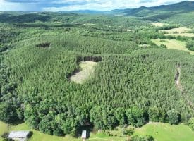 20.17 AC North Texas Road, Delray, WV 26714