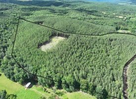 20.17 AC North Texas Road, Delray, WV 26714