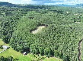 20.17 AC North Texas Road, Delray, WV 26714