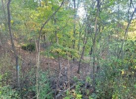 145 Weeping Willow Lane Ridgeley, WV 26753