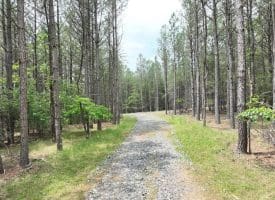 22.29 AC North Texas Road, Delray, WV 26714