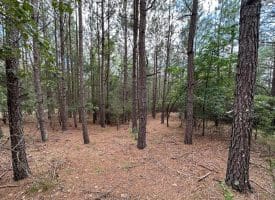 20.17 AC North Texas Road, Delray, WV 26714