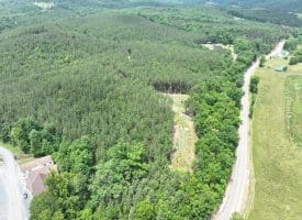 22.29 AC North Texas Road, Delray, WV 26714