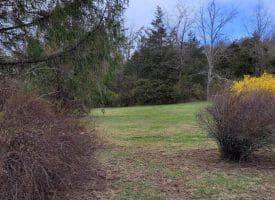 19712 Northwestern Pike, Shanks, WV 26761