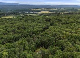 125 Hidden Springs Ct, Slanesville, WV 25444