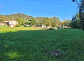 145 Weeping Willow Lane Ridgeley, WV 26753