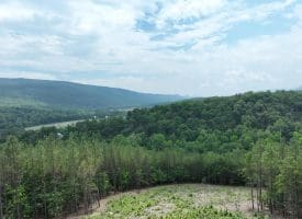 20.17 AC North Texas Road, Delray, WV 26714