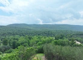 22.29 AC North Texas Road, Delray, WV 26714