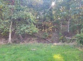 145 Weeping Willow Lane Ridgeley, WV 26753