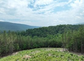 20.17 AC North Texas Road, Delray, WV 26714