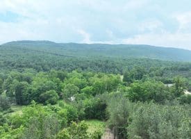 22.29 AC North Texas Road, Delray, WV 26714