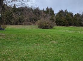 19712 Northwestern Pike, Shanks, WV 26761
