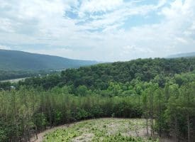 20.17 AC North Texas Road, Delray, WV 26714