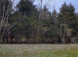 19712 Northwestern Pike, Shanks, WV 26761