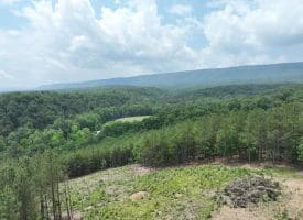 20.17 AC North Texas Road, Delray, WV 26714