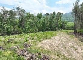 22.29 AC North Texas Road, Delray, WV 26714