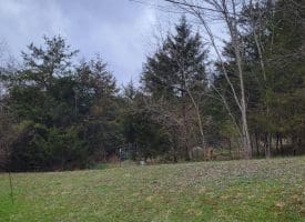 19712 Northwestern Pike, Shanks, WV 26761