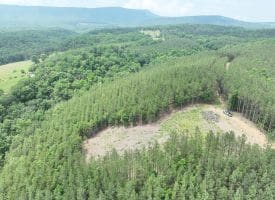 20.17 AC North Texas Road, Delray, WV 26714