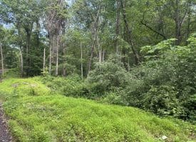 5.73 Ac Anthony Bohrer Rd, Slanesville, WV 25444