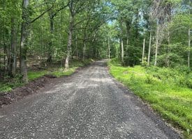 5.73 Ac Anthony Bohrer Rd, Slanesville, WV 25444