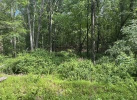 5.73 Ac Anthony Bohrer Rd, Slanesville, WV 25444