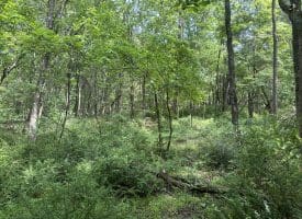 5.73 Ac Anthony Bohrer Rd, Slanesville, WV 25444