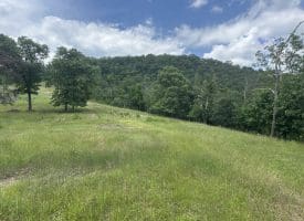 127.40 Ac Sector Rd, Purgitsville, WV 26852