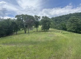 127.40 Ac Sector Rd, Purgitsville, WV 26852