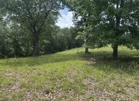 127.40 Ac Sector Rd, Purgitsville, WV 26852