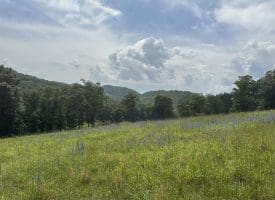127.40 Ac Sector Rd, Purgitsville, WV 26852