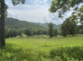 127.40 Ac Sector Rd, Purgitsville, WV 26852