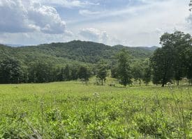 127.40 Ac Sector Rd, Purgitsville, WV 26852
