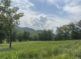 127.40 Ac Sector Rd, Purgitsville, WV 26852