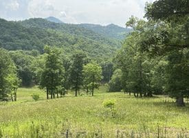 127.40 Ac Sector Rd, Purgitsville, WV 26852