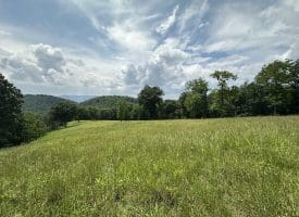127.40 Ac Sector Rd, Purgitsville, WV 26852