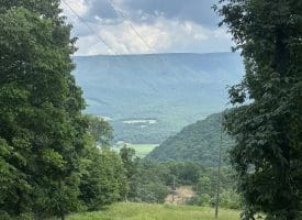 127.40 Ac Sector Rd, Purgitsville, WV 26852