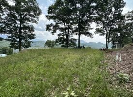 127.40 Ac Sector Rd, Purgitsville, WV 26852
