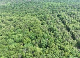 5.73 Ac Anthony Bohrer Rd, Slanesville, WV 25444