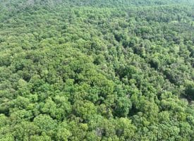 5.73 Ac Anthony Bohrer Rd, Slanesville, WV 25444