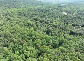 5.73 Ac Anthony Bohrer Rd, Slanesville, WV 25444