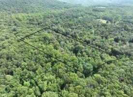 5.73 Ac Anthony Bohrer Rd, Slanesville, WV 25444