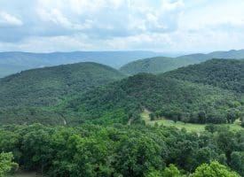 127.40 Ac Sector Rd, Purgitsville, WV 26852