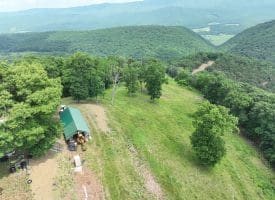 127.40 Ac Sector Rd, Purgitsville, WV 26852
