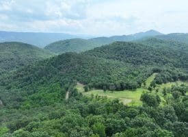 127.40 Ac Sector Rd, Purgitsville, WV 26852