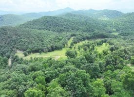127.40 Ac Sector Rd, Purgitsville, WV 26852